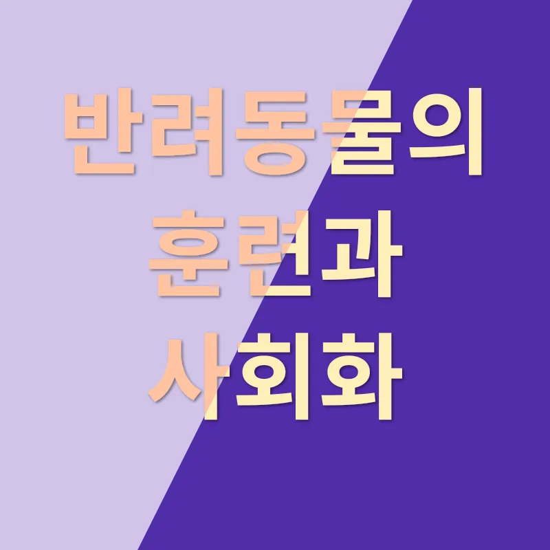 반려동물 분양_2