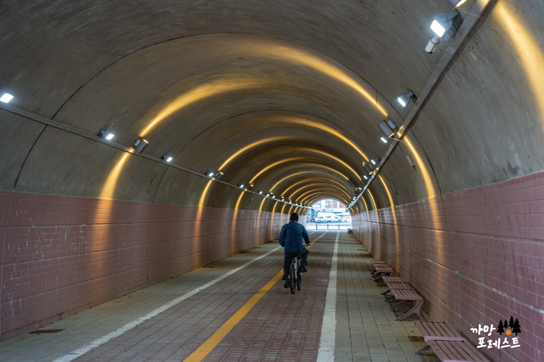 전북 군산 해망굴 터널