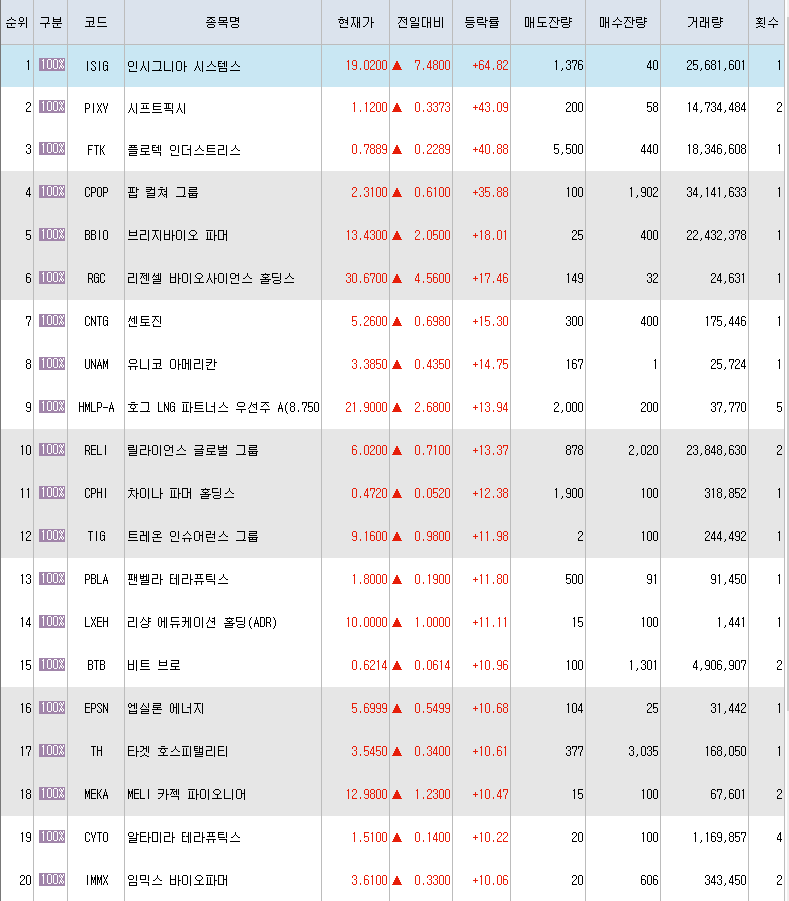  12월28일 미국주식 상승률 상위 종목 TOP 300