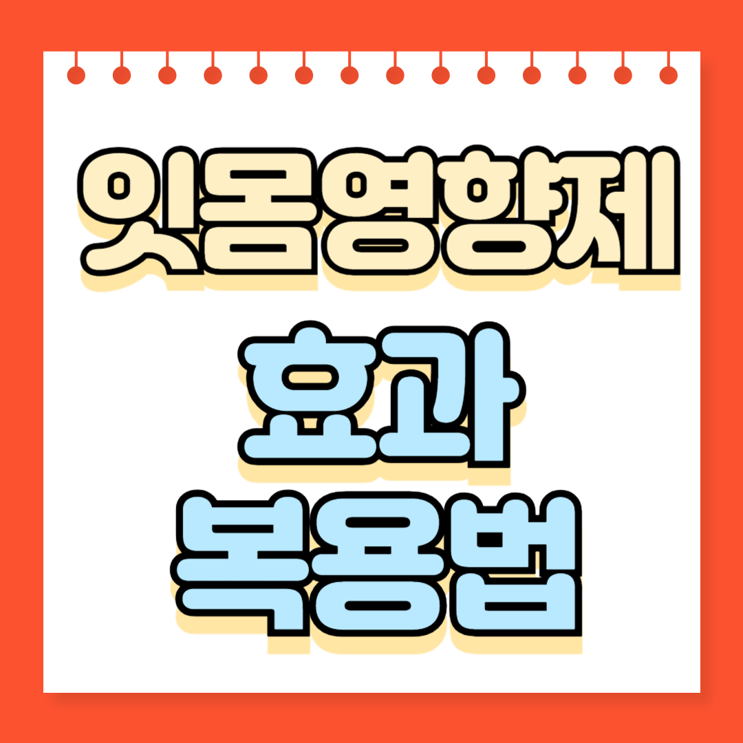 잇몸영향제 효과 복용법