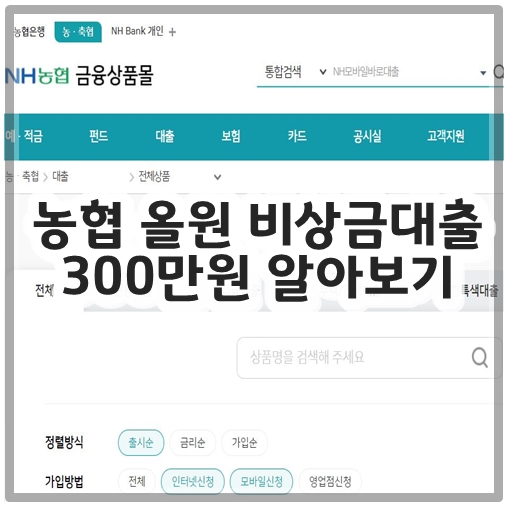 농협 올원 비상금대출 금리&#44; 조건 300만원 알아보기