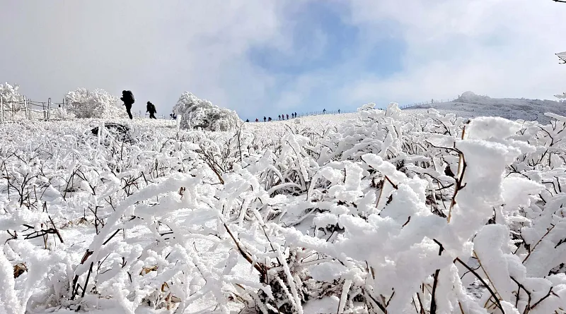 소백산 설경 상고대