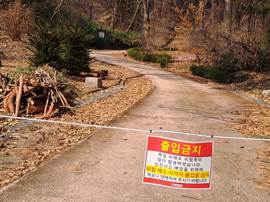 출입통제-숲-02