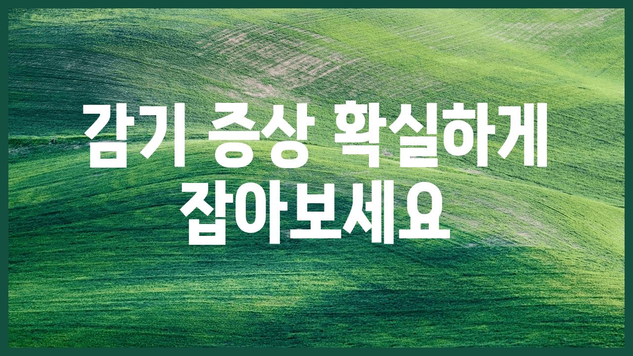 감기 증상 확실하게 잡아보세요