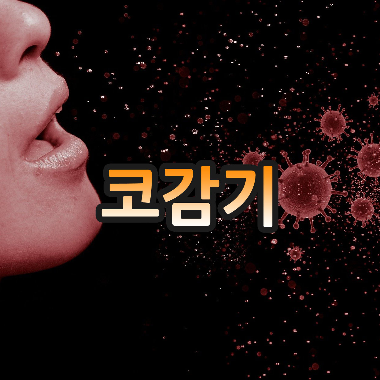  코감기에 걸렸을 때 관리 잘하는 법