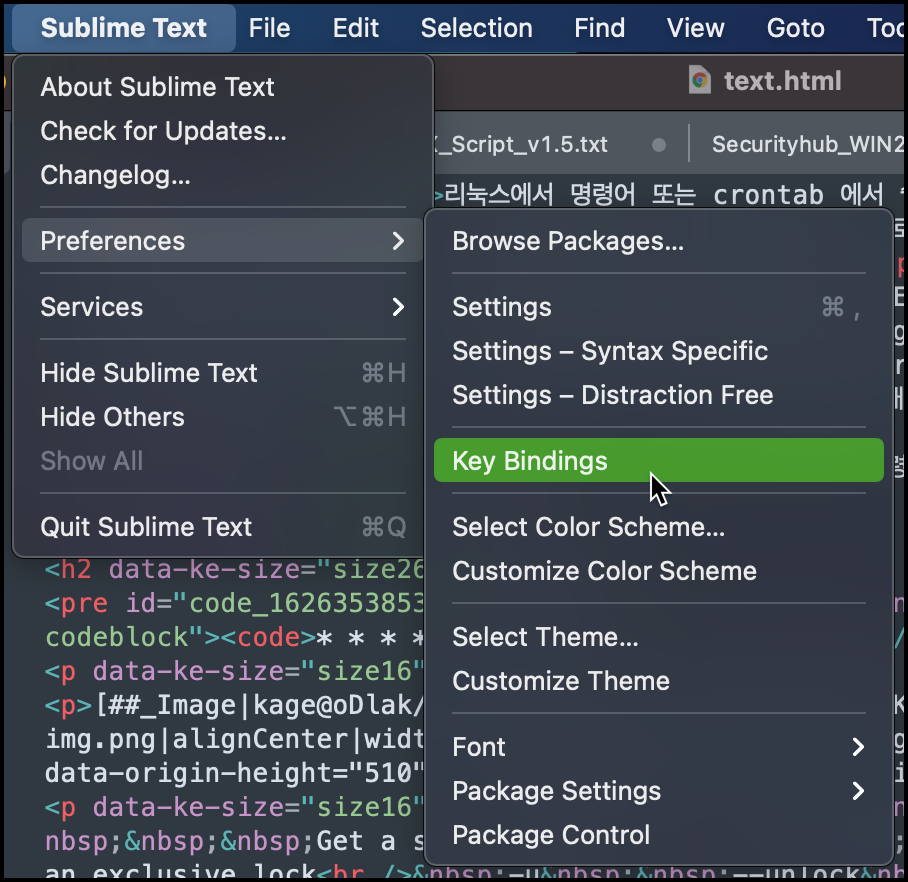  Sublime text3 단축키 설정 변경 방법