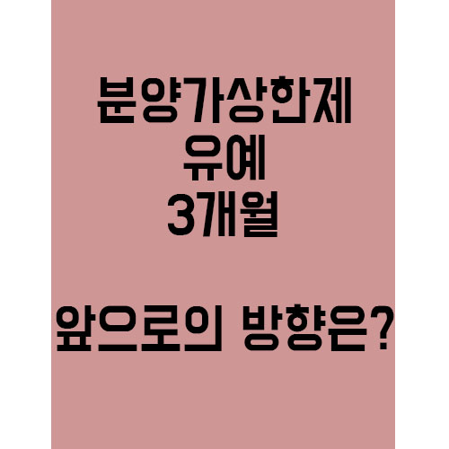  분양가상한제 유예 3개월,앞으로의 부동산 시장은?