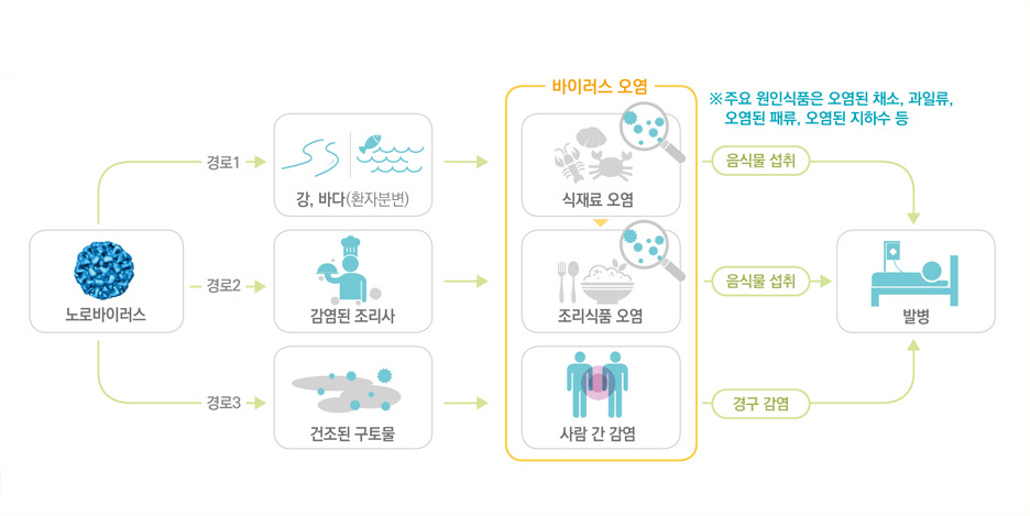 유행 중인 노로바이러스 감염, 이렇게 관리하고 예방하자!