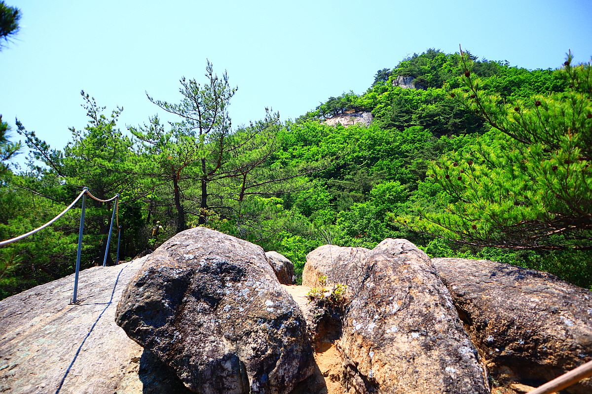 단양 올산