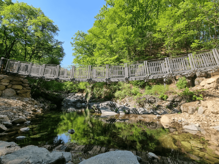 걷기 좋은 명품숲길 20선