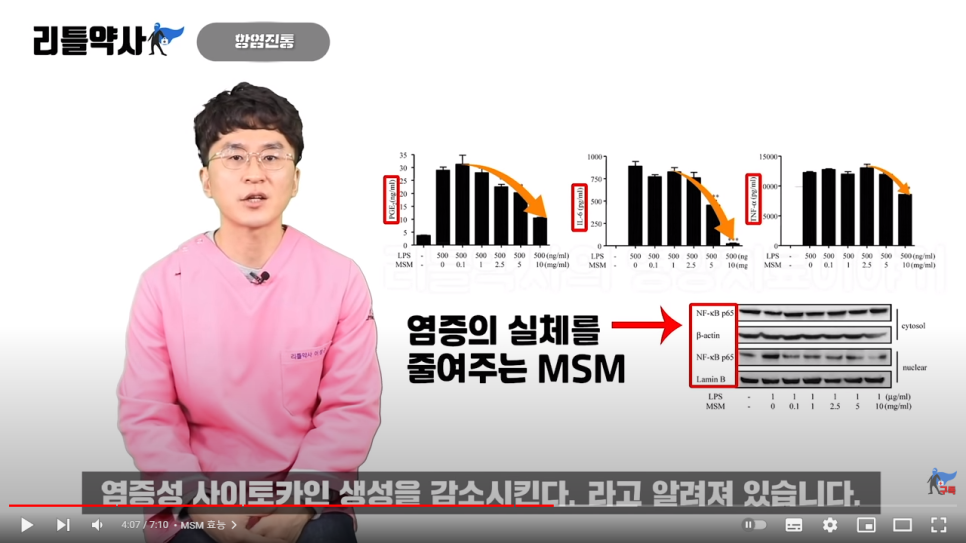 msm의 <5분건강> 만병통치약이라고 2