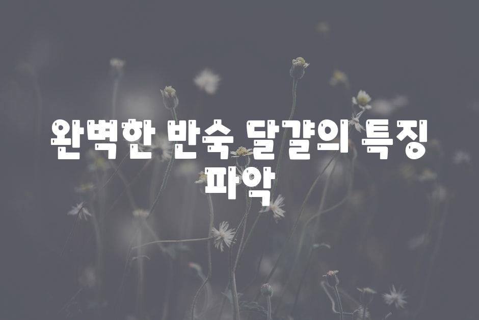 완벽한 반숙 달걀의 특징 파악