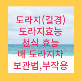 도라지 (길경) 도라지 효능