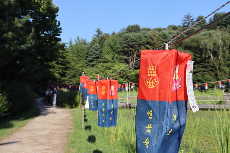 봉선사 연꽃 피는 시기 꽃놀이 합니다~경기도 연꽃축제 남양주여행 20