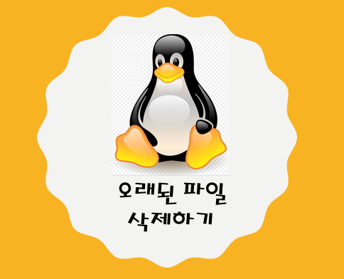  Linux 리눅스 오래된 파일 삭제하기