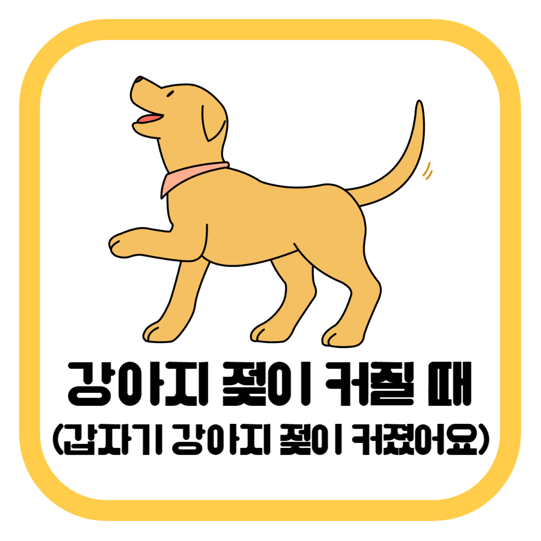 강아지 젖이 커질 때