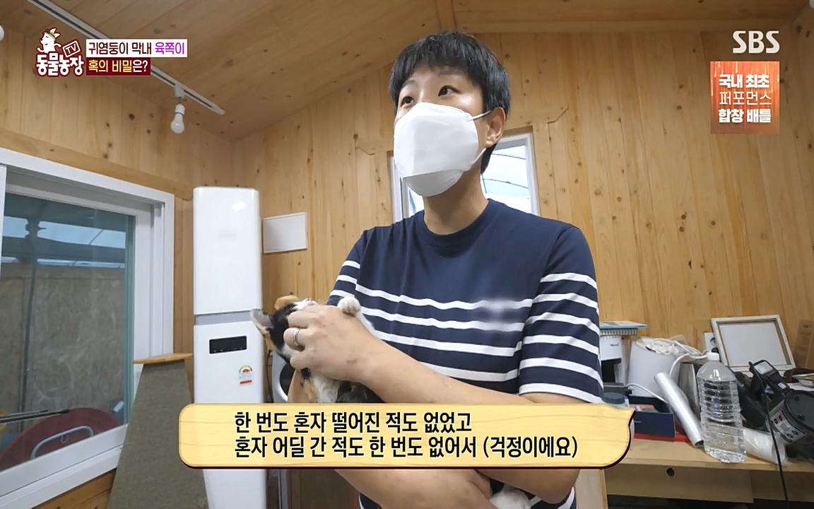 TV 동물농장.E1087.220919p-NEXT.mp4_20220918_180234.209.jpg
