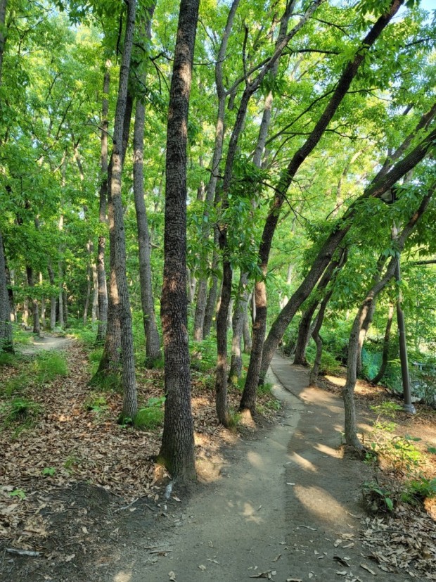 산마을 이미지