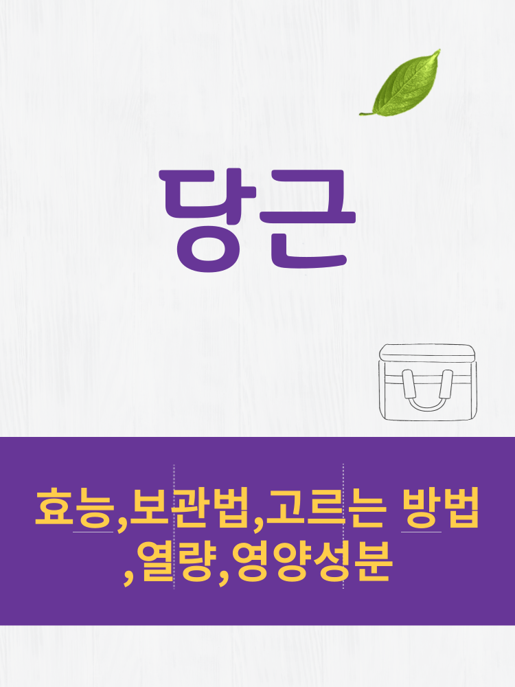  당근 효능 및 열량과 보관법 칼로리 총정리 