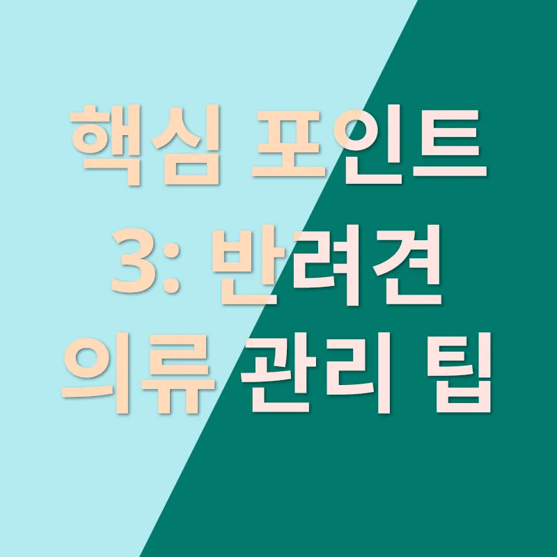 반려견 의류_3