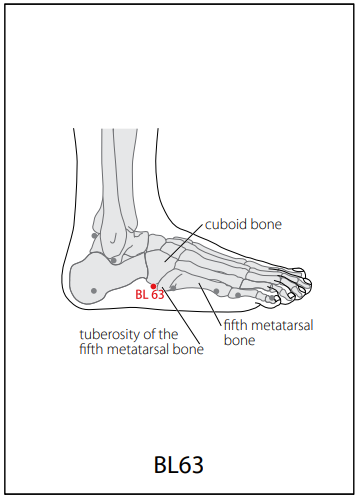 족태양방광경(BL) > BL63 금문 (金門) 1