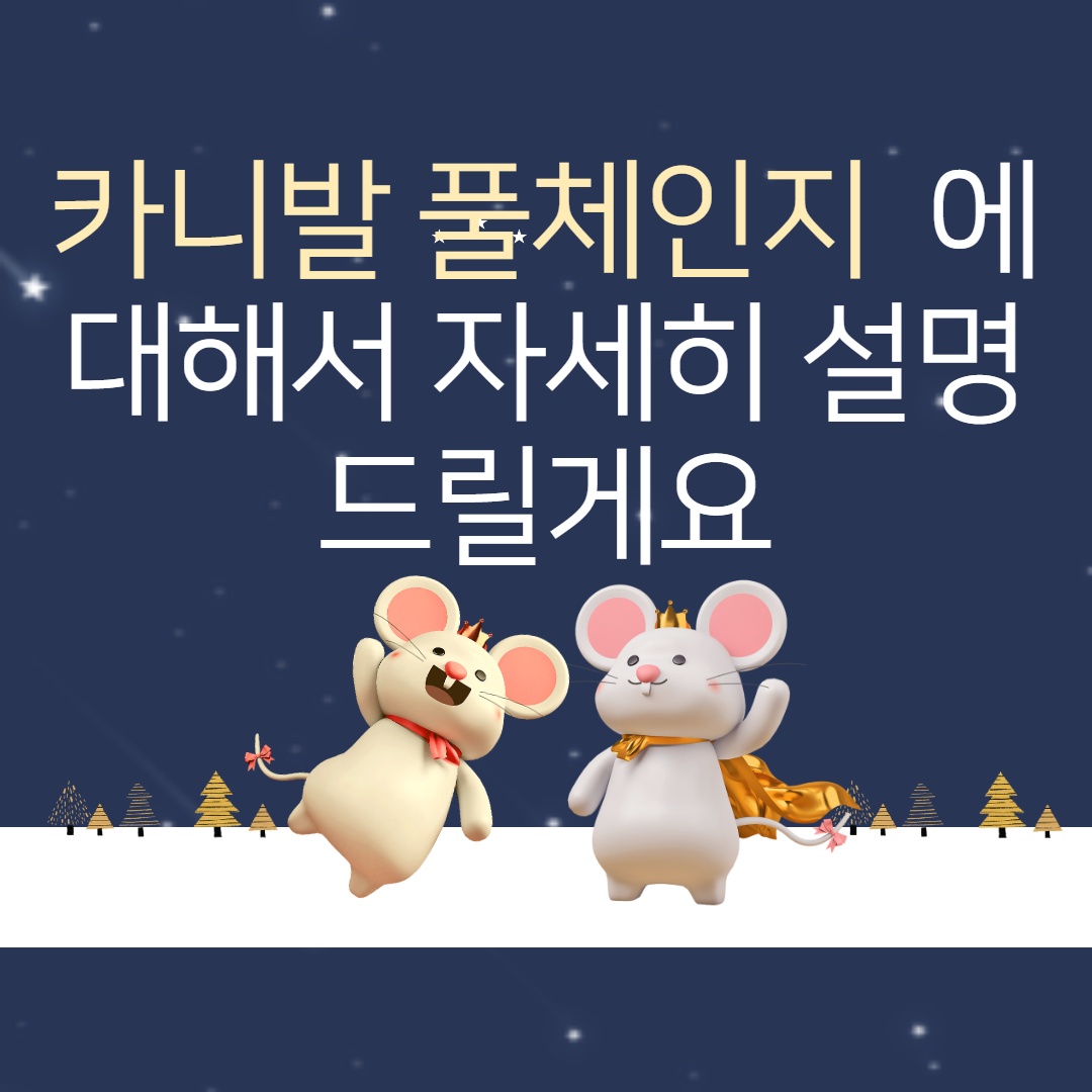  카니발 풀체인지