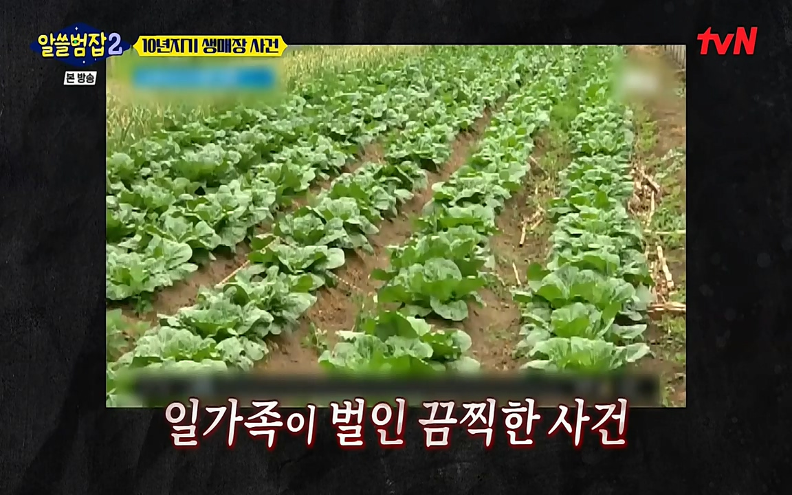 알쓸범잡 2.E14.220418p-NEXT.mp4_20220418_182507.684.jpg