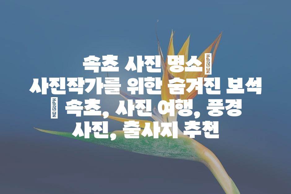 샘플 (45)