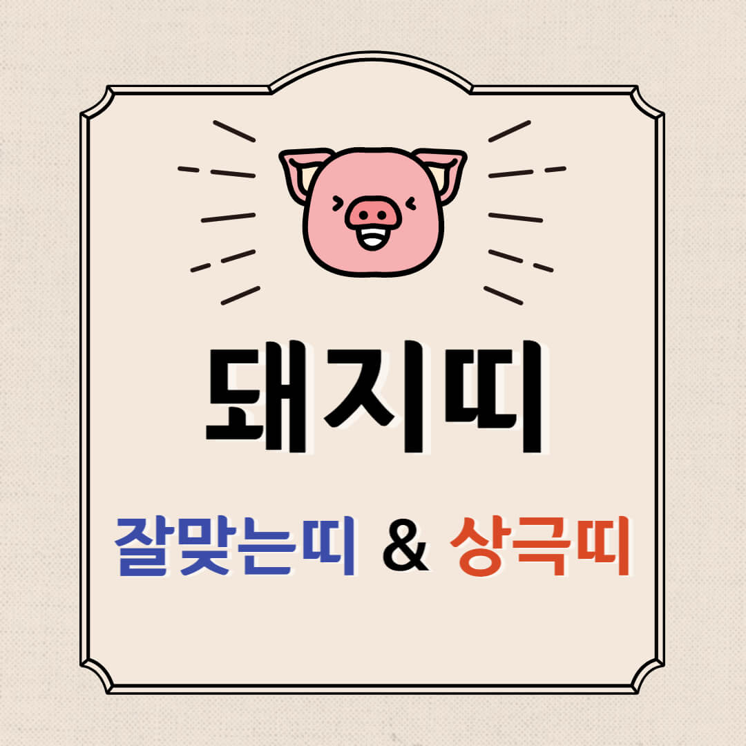  돼지띠 잘맞는띠 돼지띠 상극띠