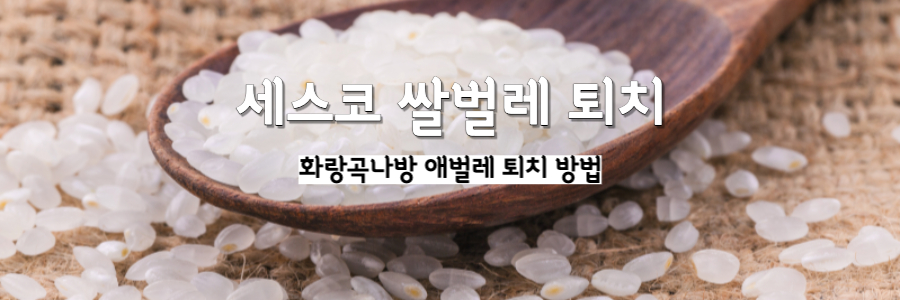  세스코 화랑곡나방 애벌레 쌀벌레 퇴치하는 방법