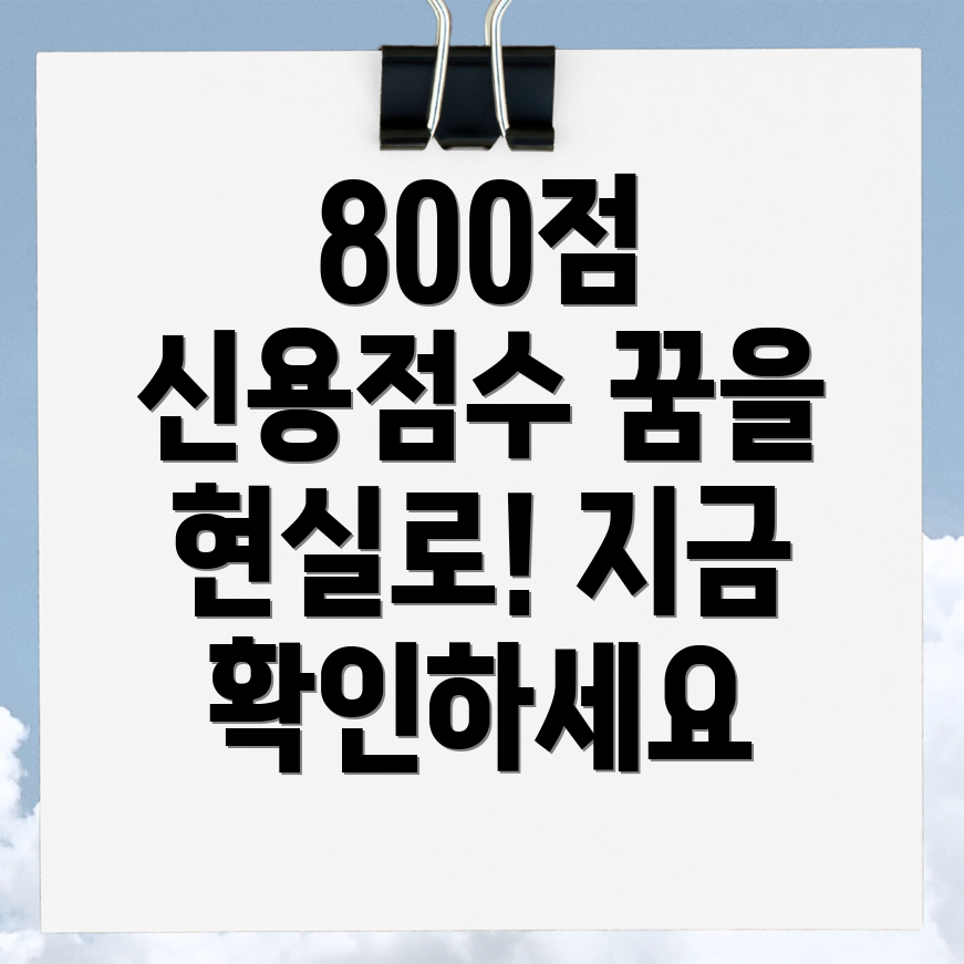 신용점수 800점