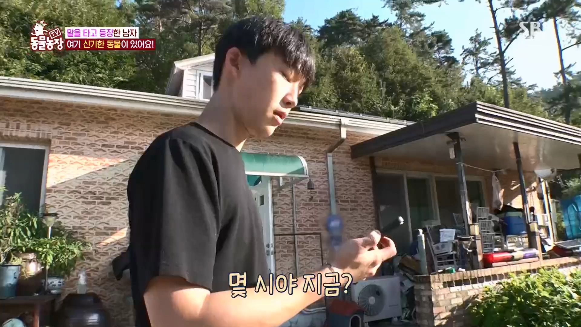 TV 동물농장.E1139.230924p.H264-F1RST.mp4_20230924_172343.911.jpg