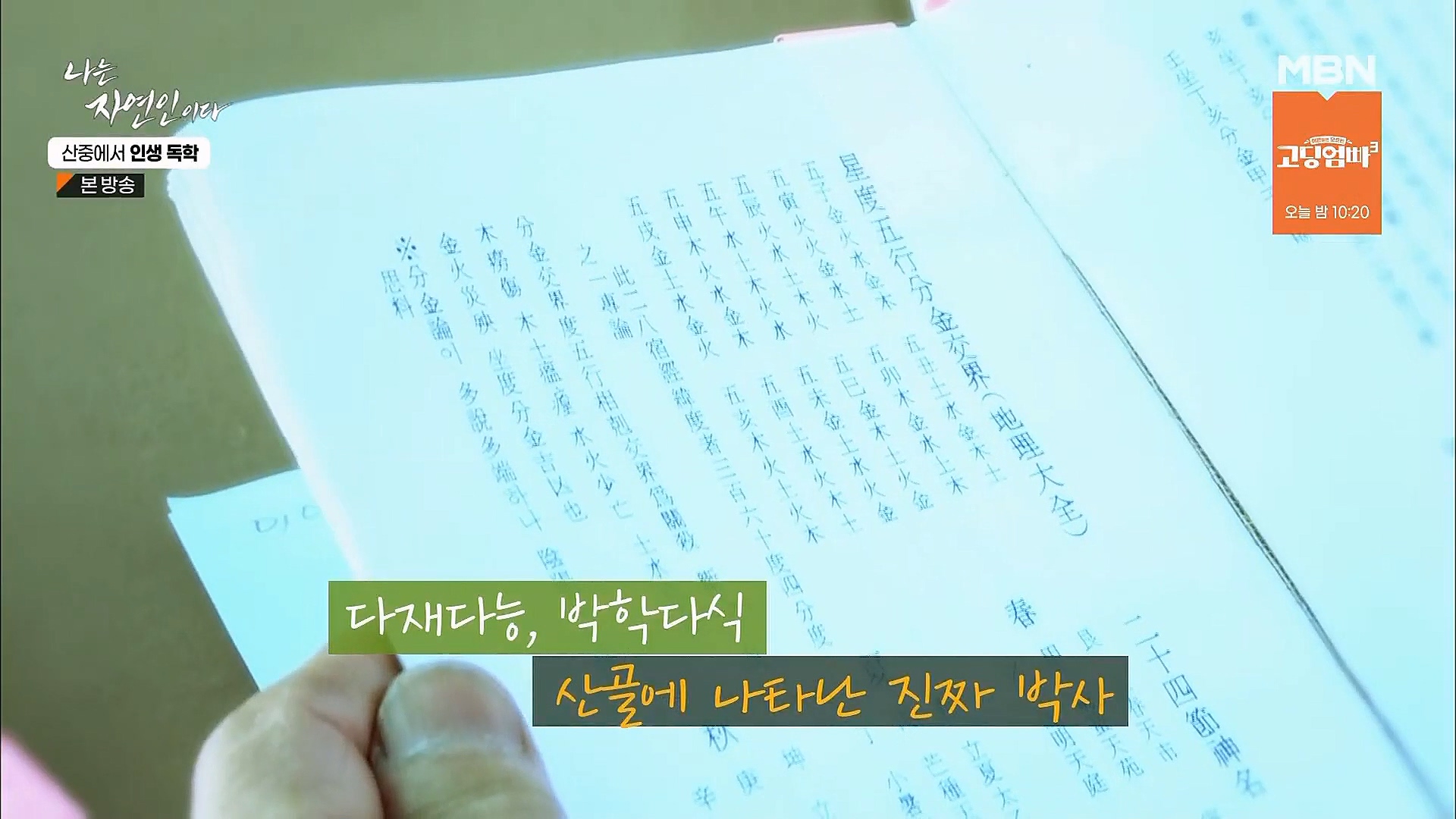 나는 자연인이다.E539.230201p.H264-F1RST.mp4_20230204_173547.746.jpg