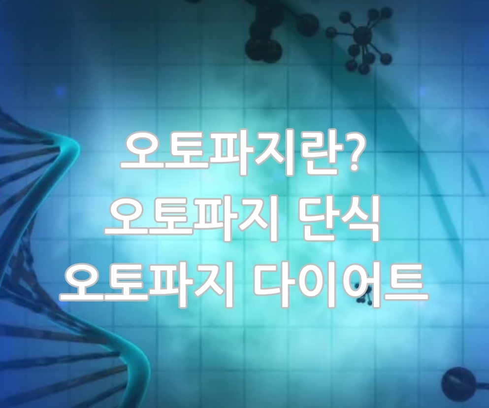 2016년 오토파지 노벨상 : 오토파지 = 자가 포식과정, 오토파지 뜻, 오토파지 기전