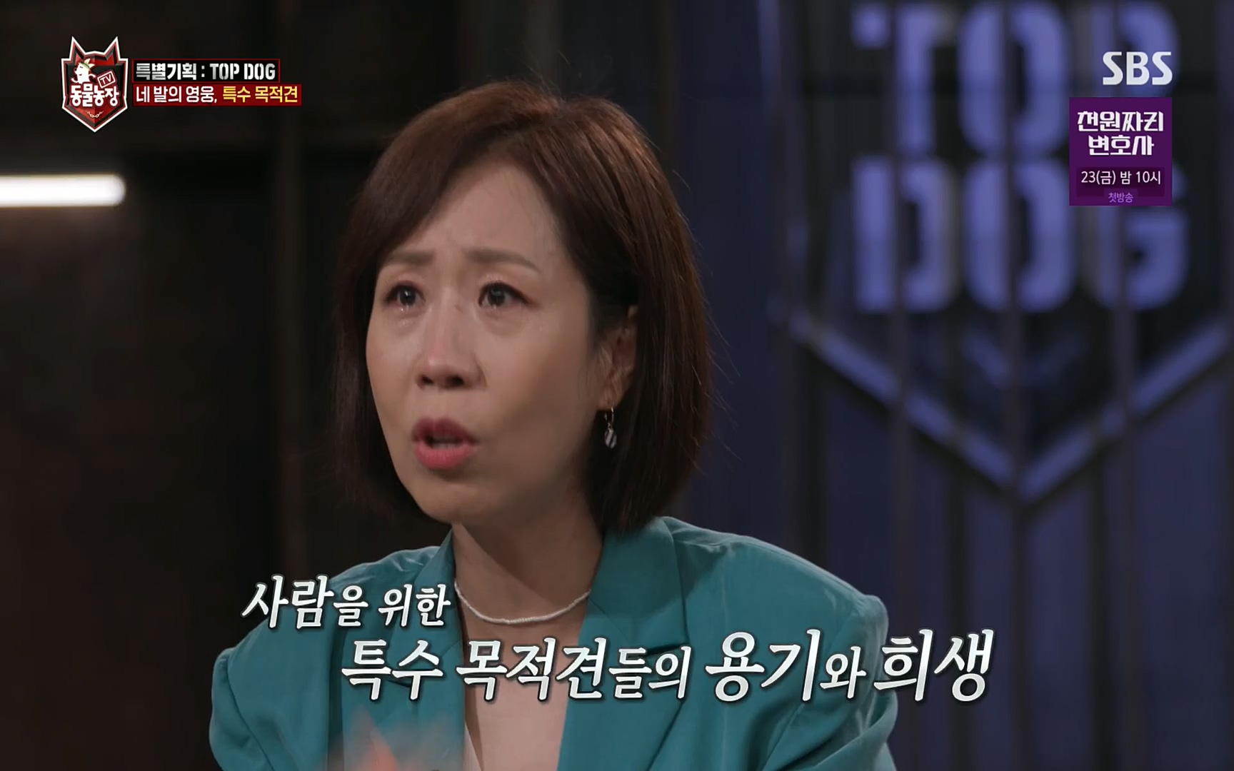 TV 동물농장.E1086.220911p.H264-F1RST.mp4_20220911_175427.302.jpg