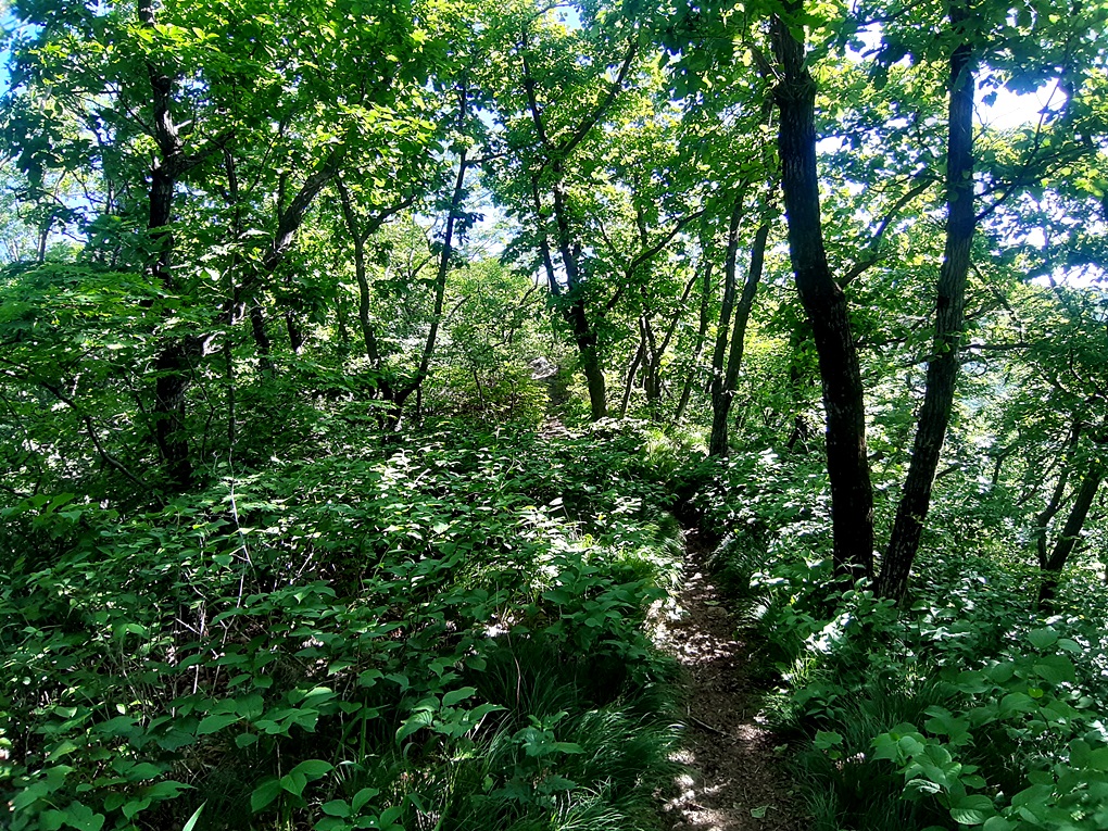 청화산 등산코스