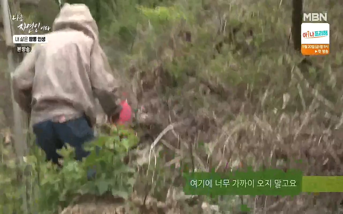 나는 자연인이다.E502.220519p-NEXT.mp4_20220519_182342.764.jpg