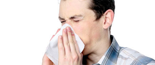 알레르기 비염