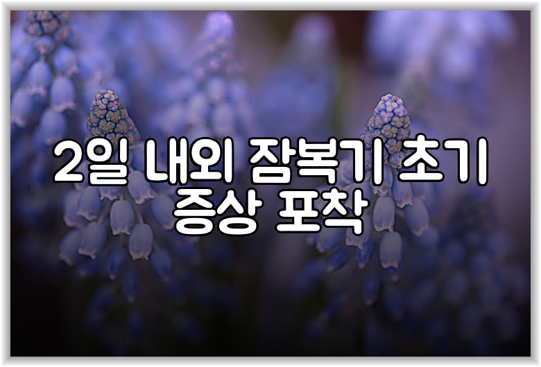 2일 내외 잠복기 초기 증상 포착