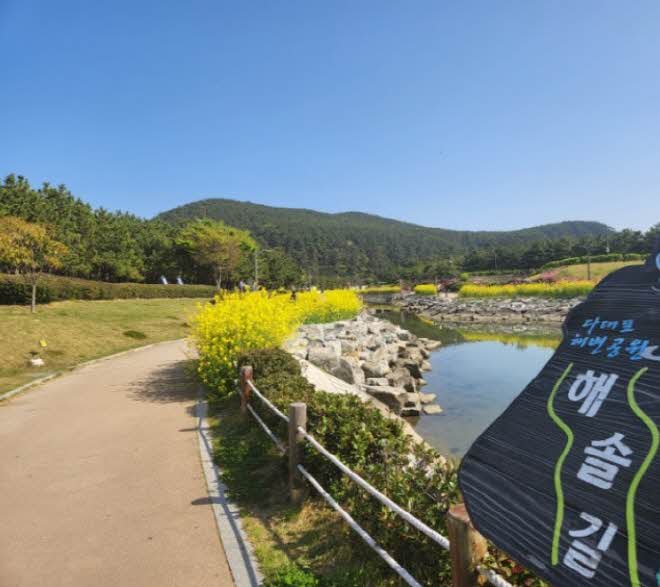 부산 다대포 해변공원 유체꽃