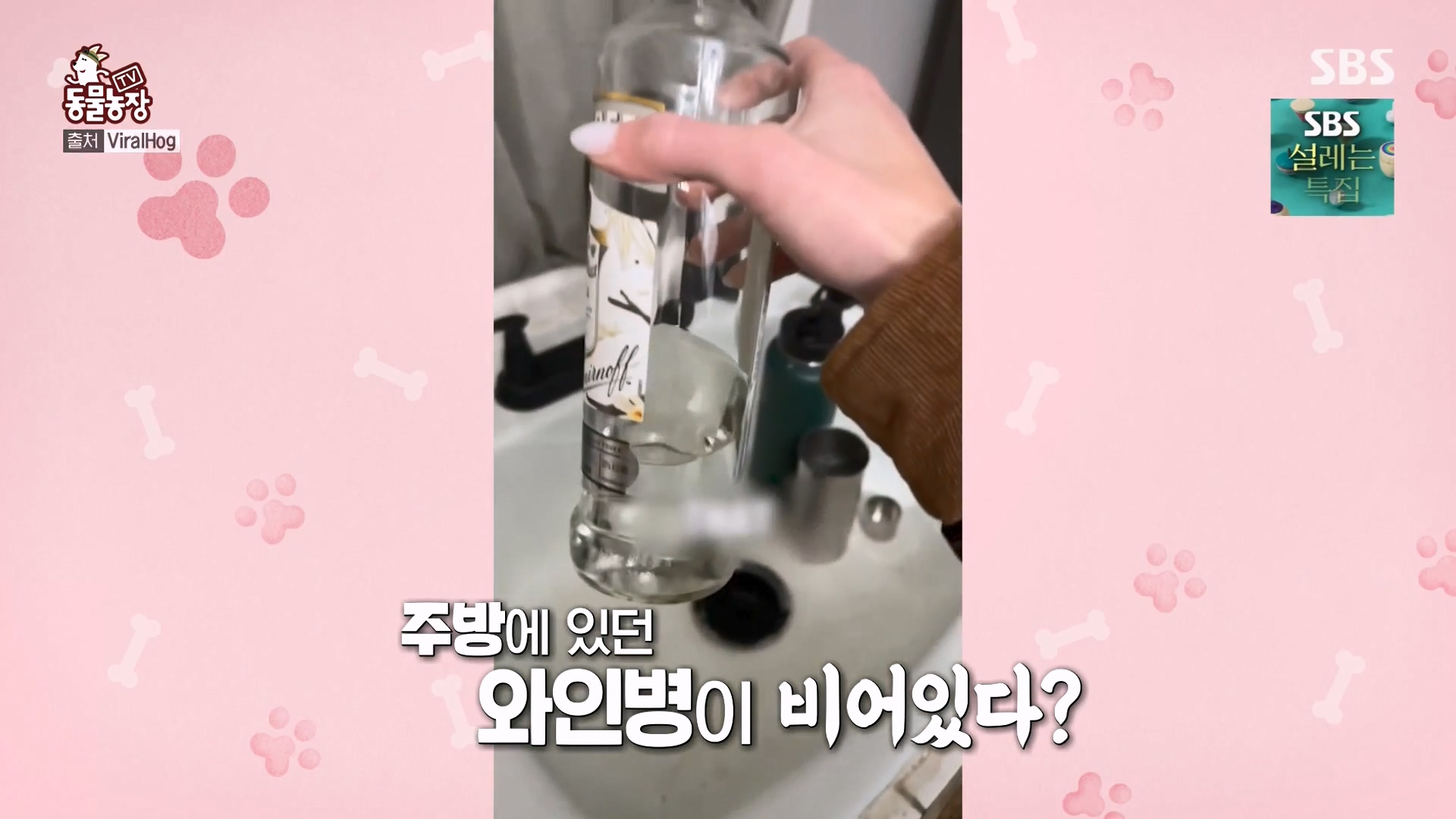 TV 동물농장.E1157.240204p-NEXT.mp4_20240204_164326.280.jpg