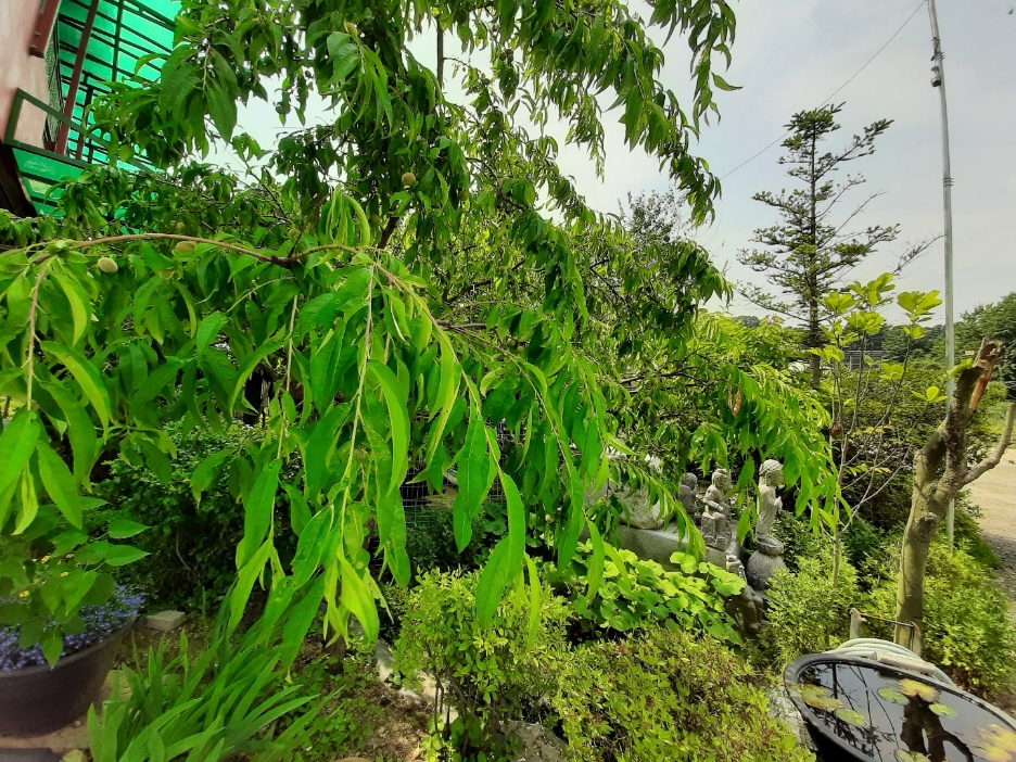 img.jpg