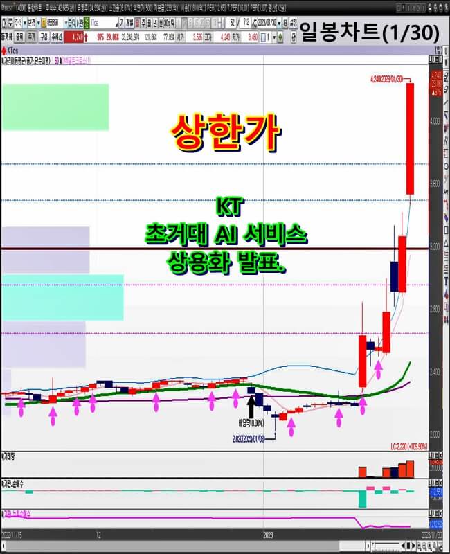 일-봉-차트