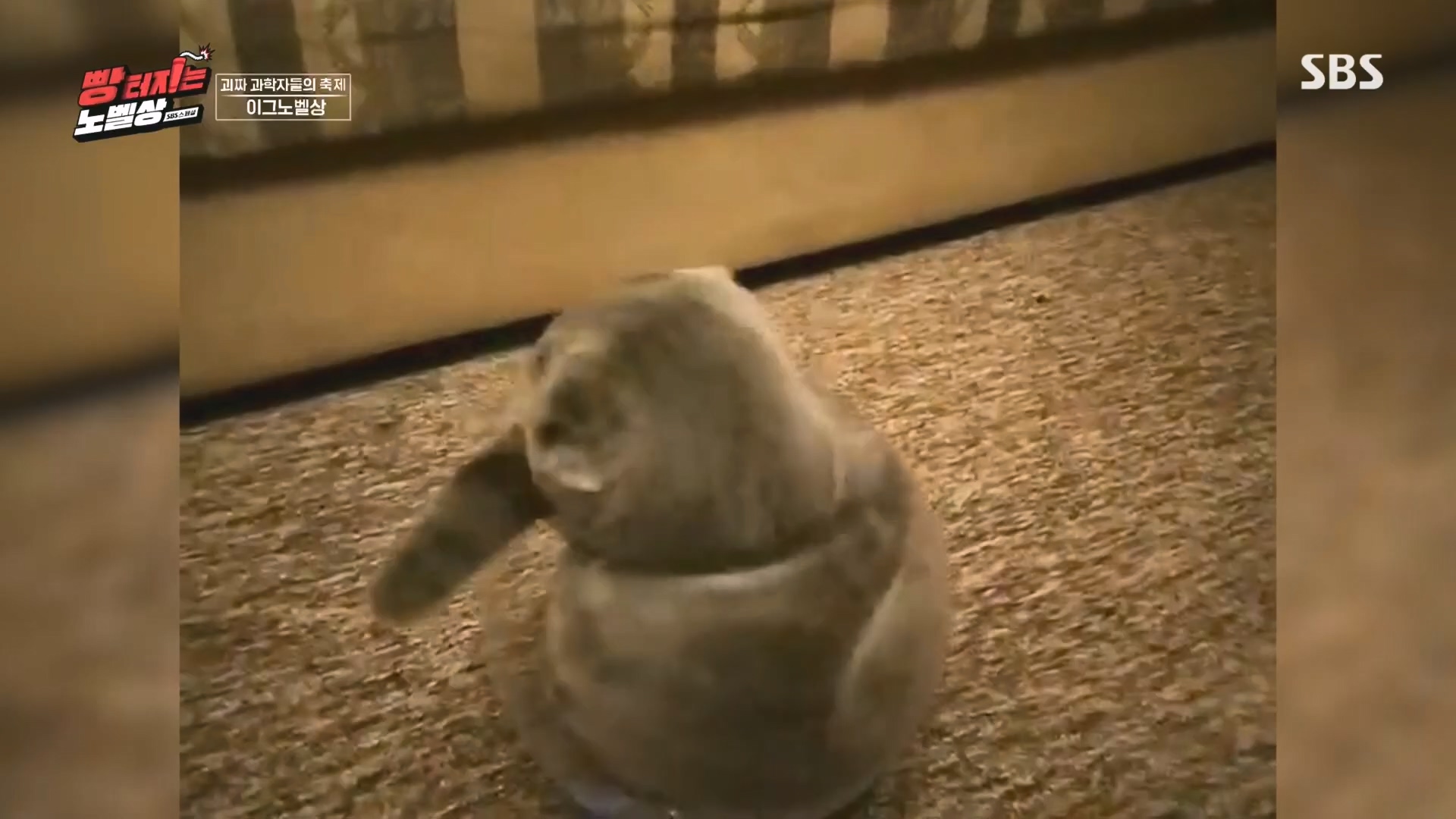SBS 스페셜.E658.231105p.H264-F1RST.mp4_20231106_201726.028.jpg