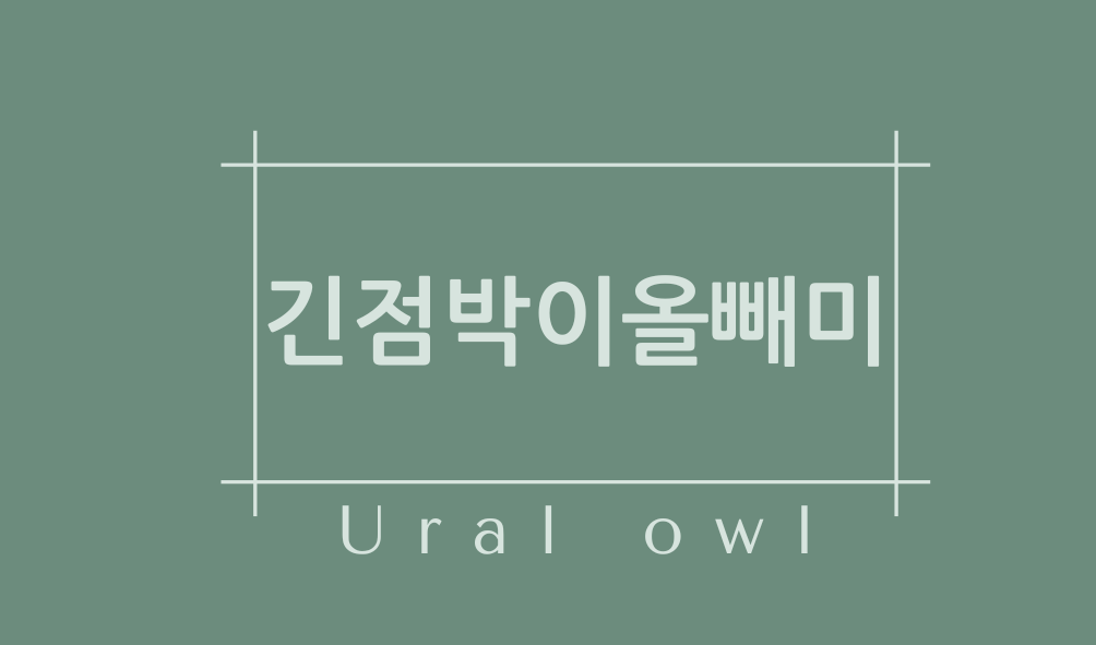 긴점박이올빼미(Ural owl)