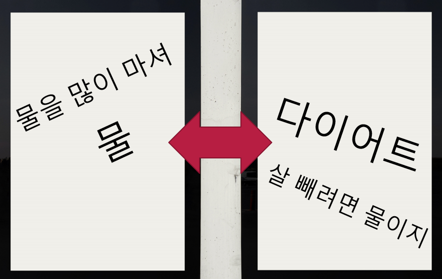  다이어트와 물의 관계 시험 결과 (2주간)