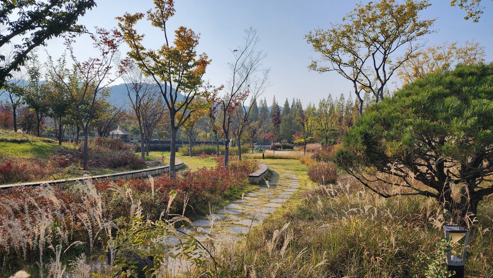 경북 천년숲 정원 4