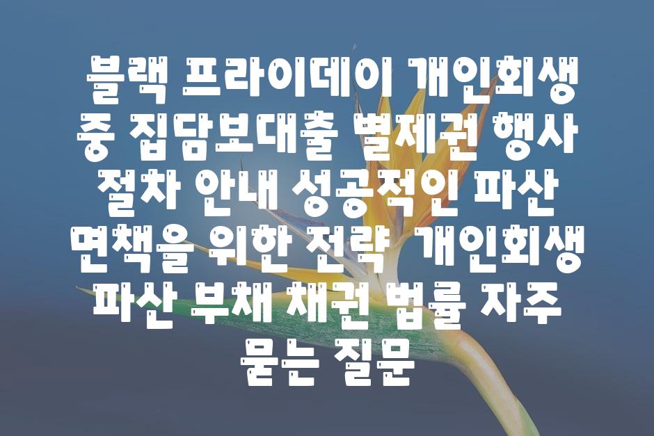  블랙 프라이데이 개인회생 중 집담보대출 별제권 행사 절차 공지 성공적인 파산 면책을 위한 전략  개인회생 파산 부채 채권 법률 자주 묻는 질문