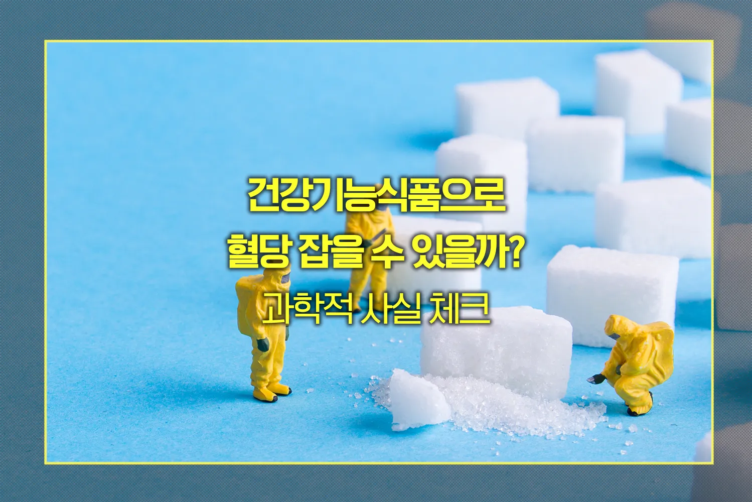 건강기능식품 혈당