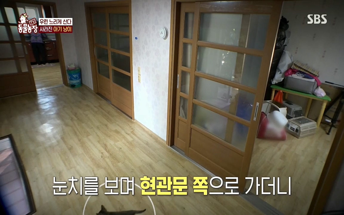 TV 동물농장.E1076.220704p.H264-F1RST.mp4_20220703_175610.041.jpg